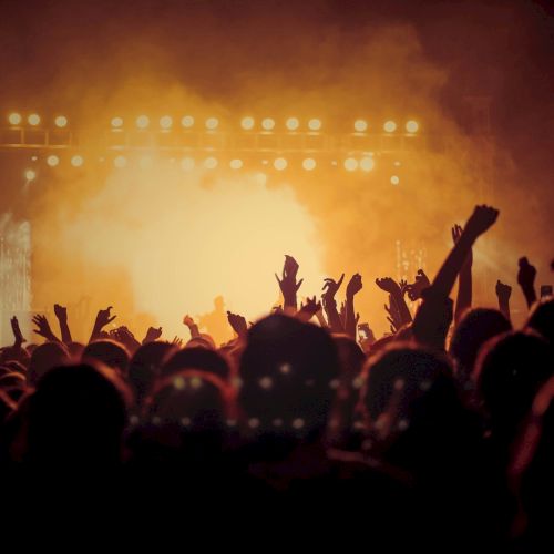 A packed concert crowd cheers under bright golden stage lights while a performer&rsquo;s silhouette is on the stage.